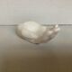 White hand trinket bowl