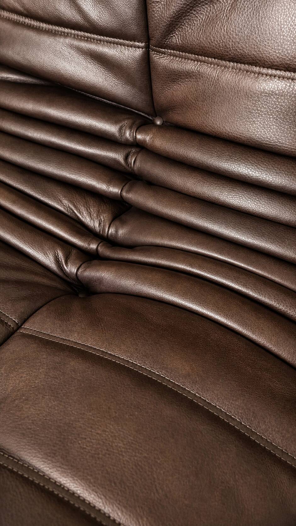 Set 2 canapés 2 places  michel ducaroy / ligne roset cuir marron