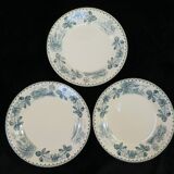 12 flat earthenware plates terre de fer bocage