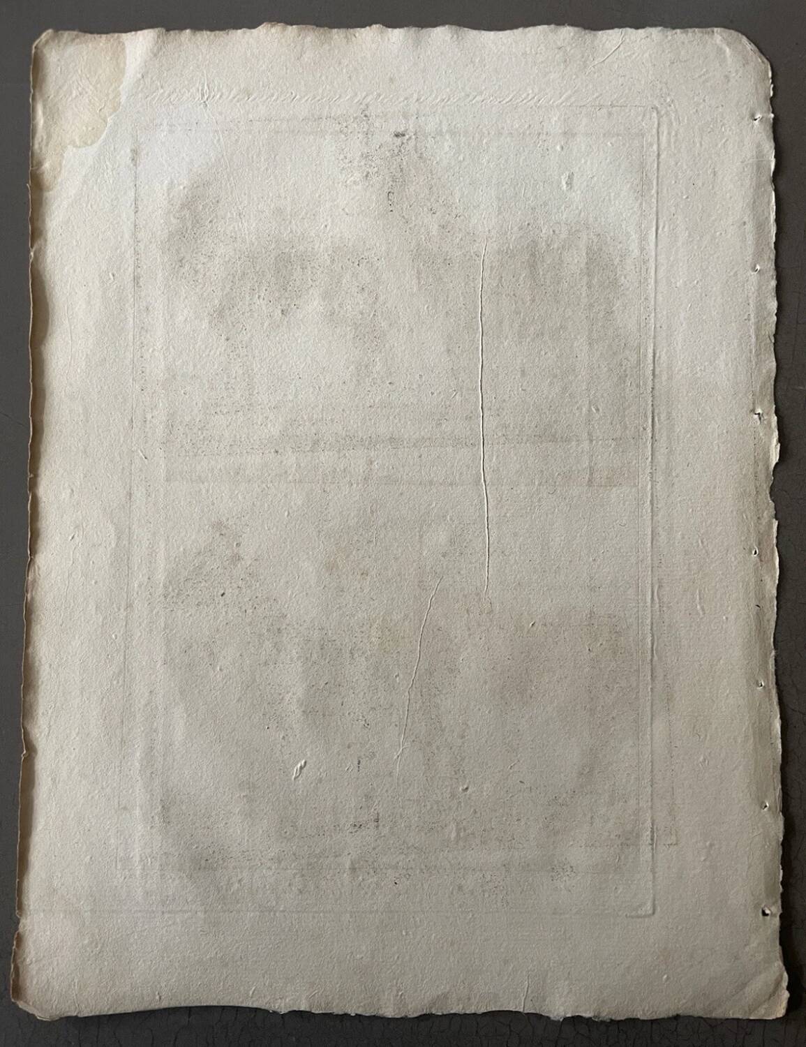 Engraving Old book 18th century Buffon, Bonnaterre, Natural history