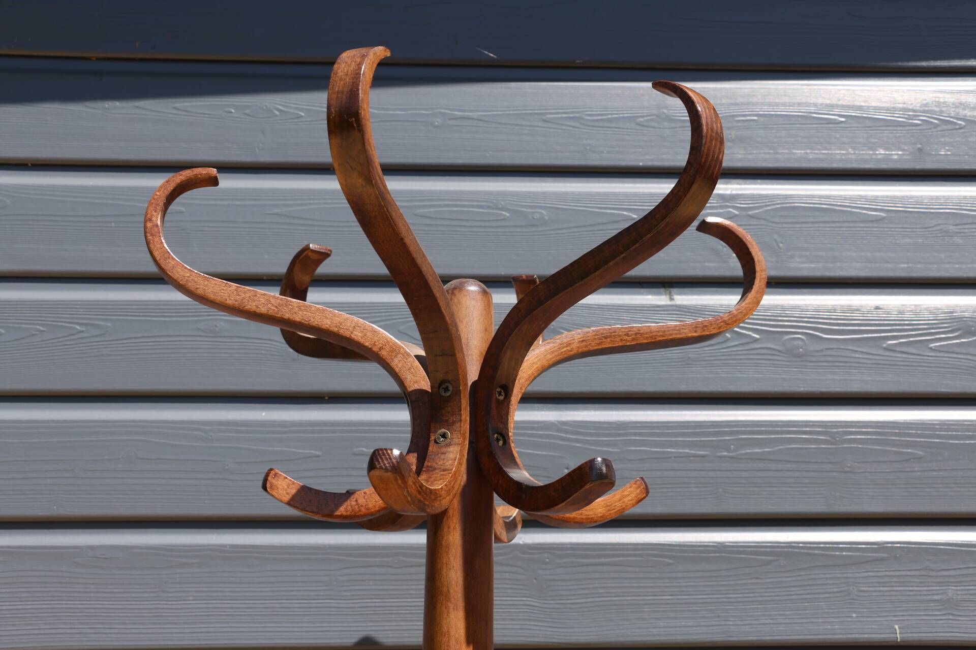 Baumann parrot coat rack simple dark beech