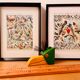 Lithographie gravure sur les oiseaux (autruche) de 1928