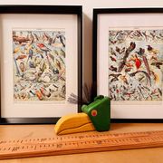 Lithographie gravure sur les oiseaux (autruche) de 1928