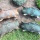 Antique cast iron planter
