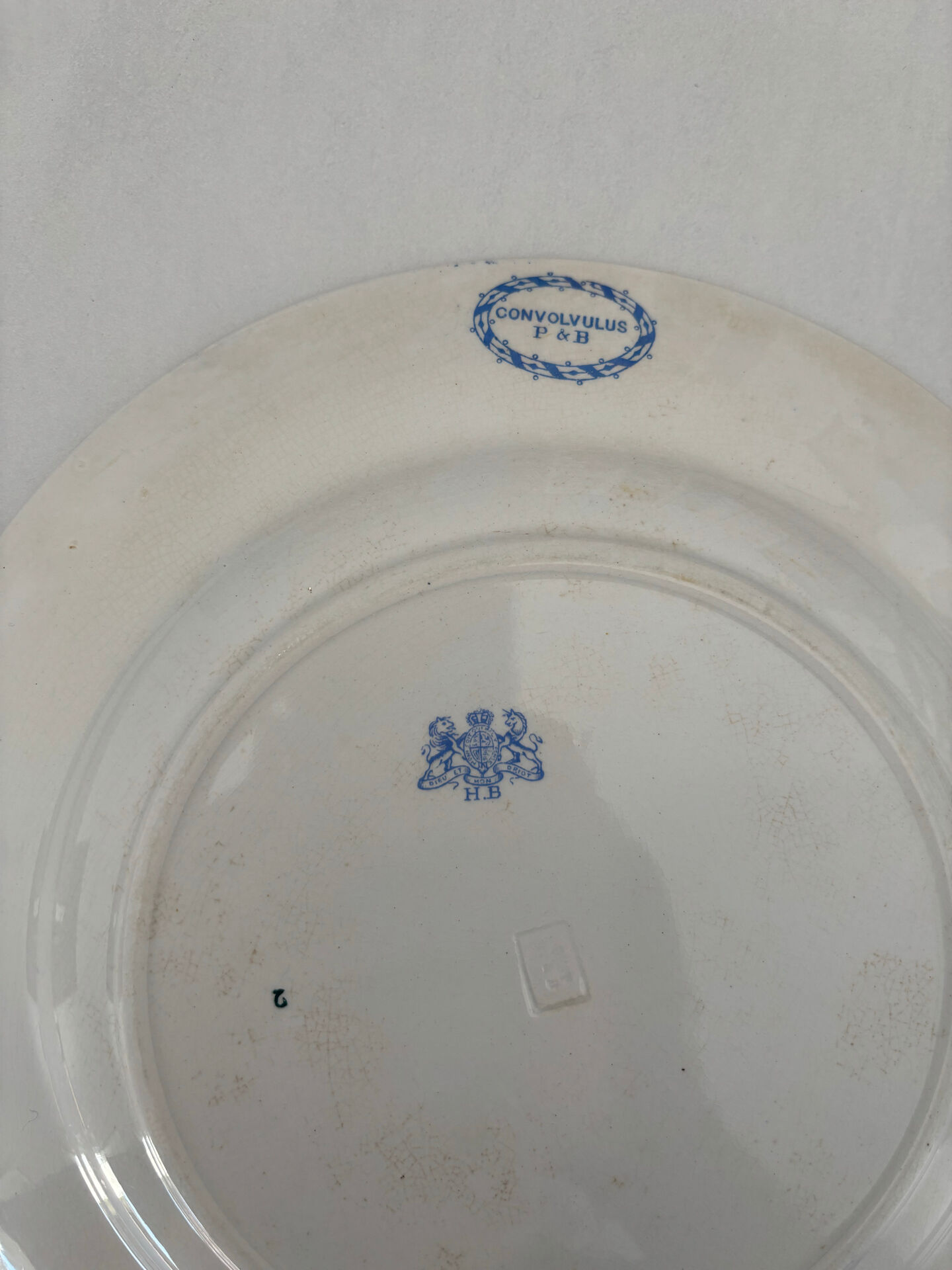 Old flat plate, light blue ironstone, HB Choisy-le-Roi model.