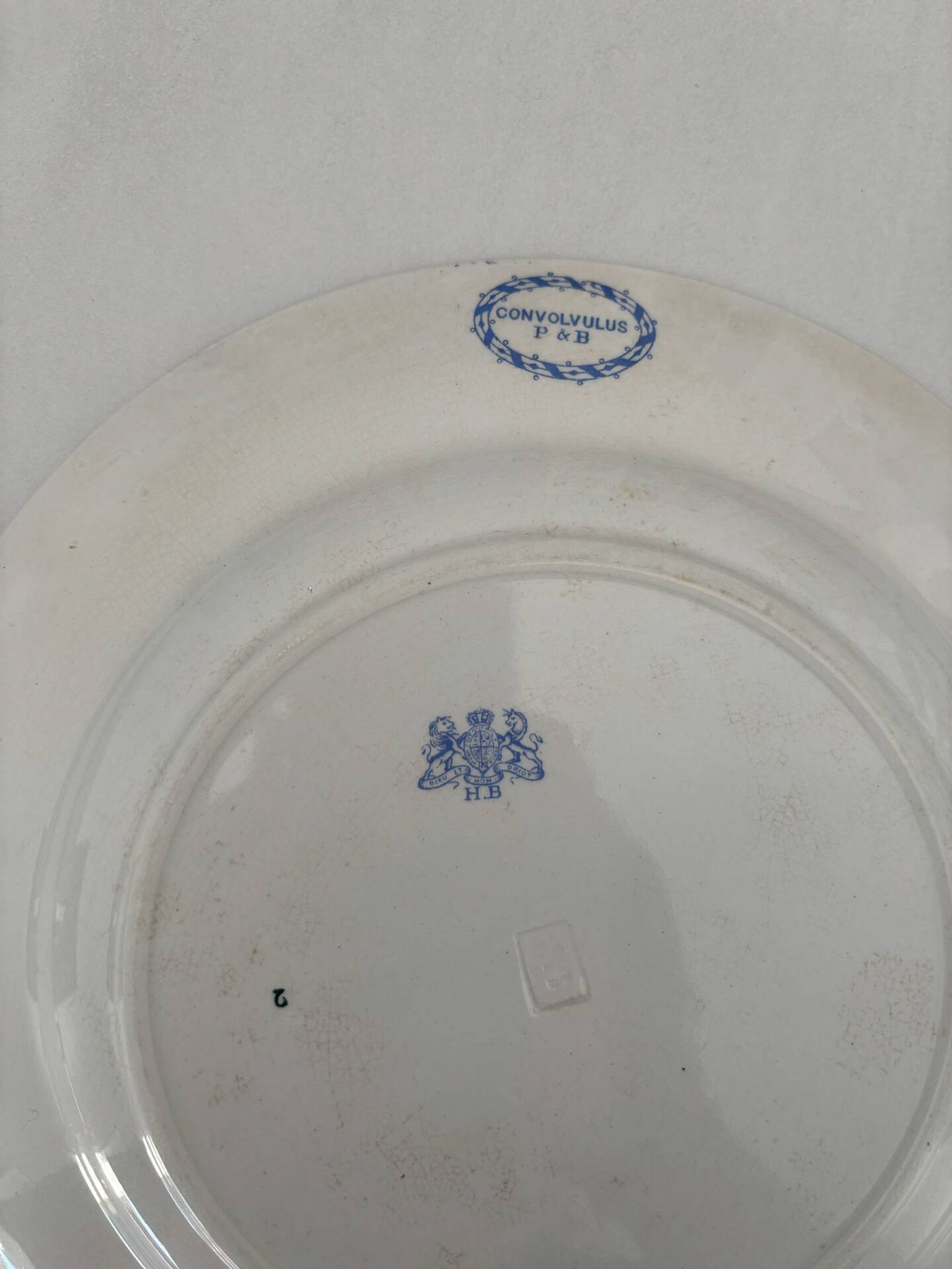 Assiette plate ancienne terre de fer bleu clair HB choisy le roi modèl