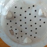 Porcelain asparagus plate/drainer