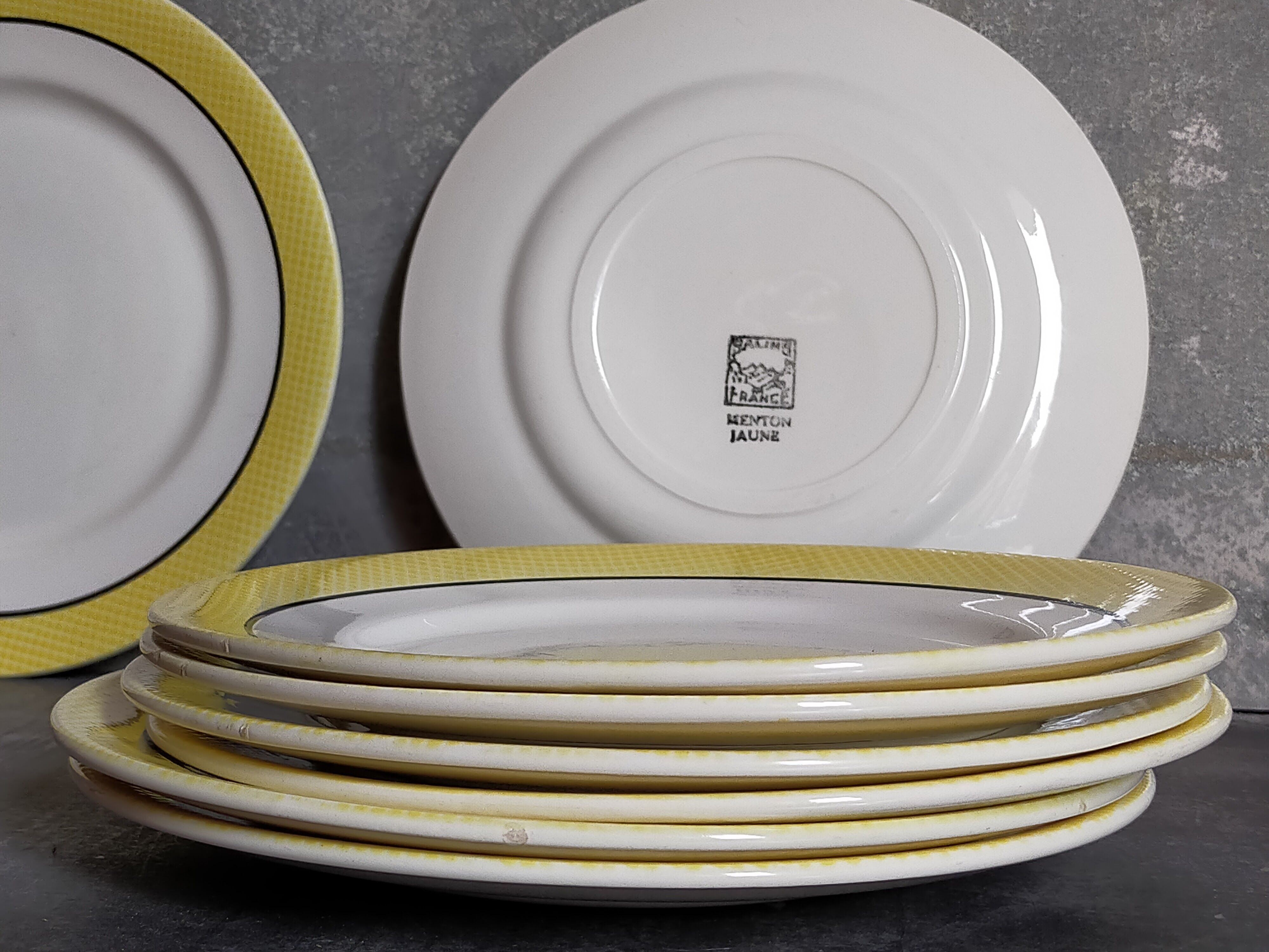 Eight dessert plates from Salins service "Menton" 50s