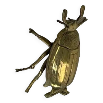 Brass beetle