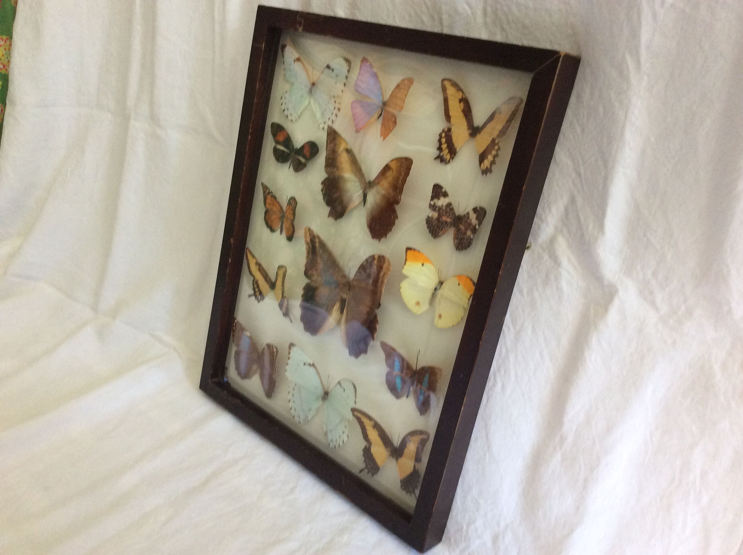 Butterfly frame