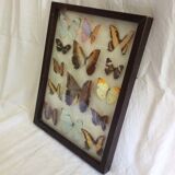 Butterfly frame