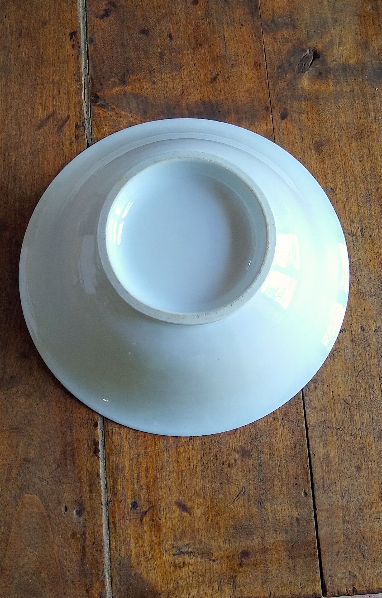 White porcelain salad bowl dish