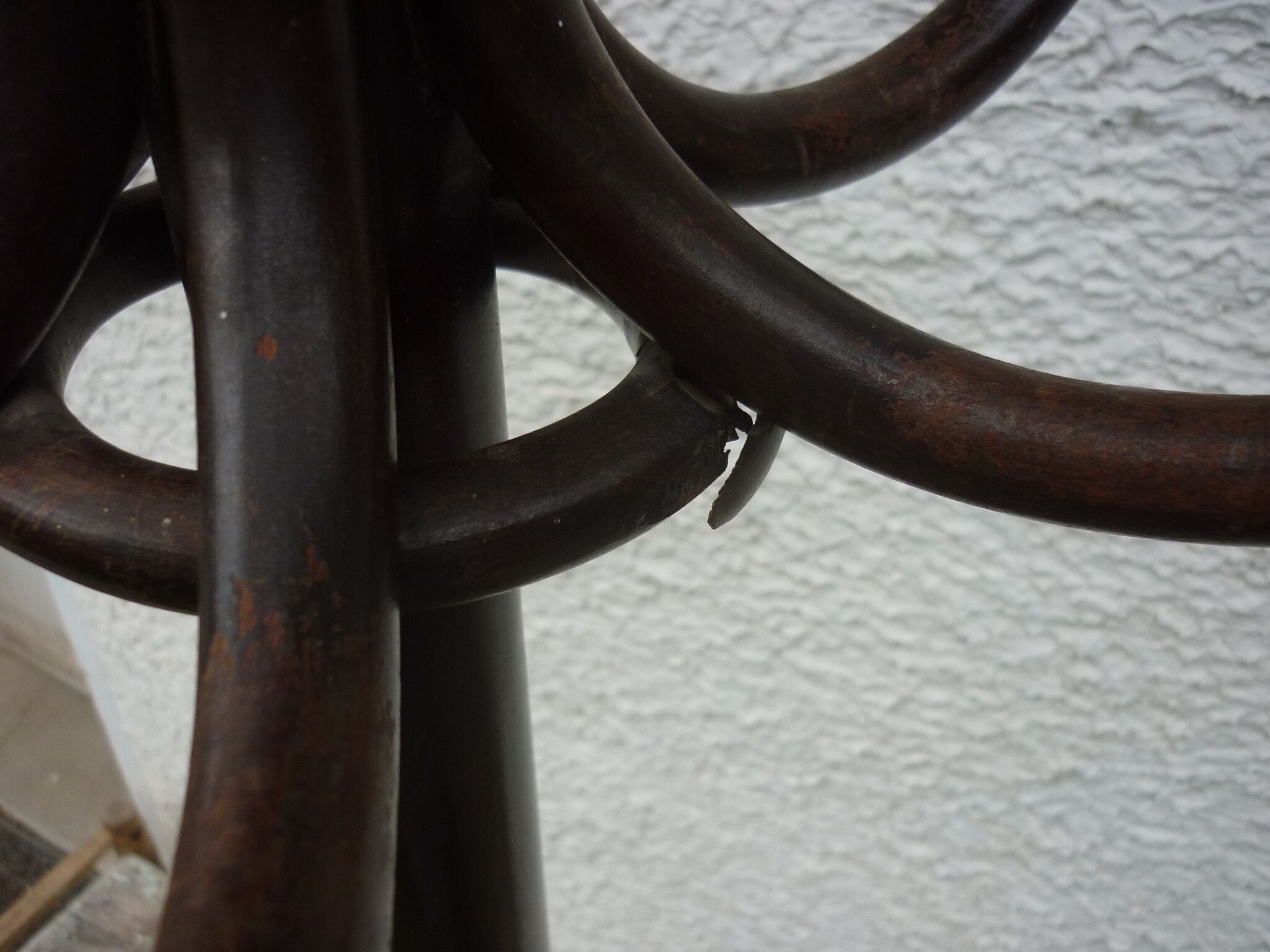 Old curved wood parrot coat holder