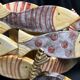Decorative ceramic fish set circa 1980