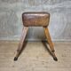 Vintage Gymnastics Vaulting Horse, Czechoslovakia, 1960s