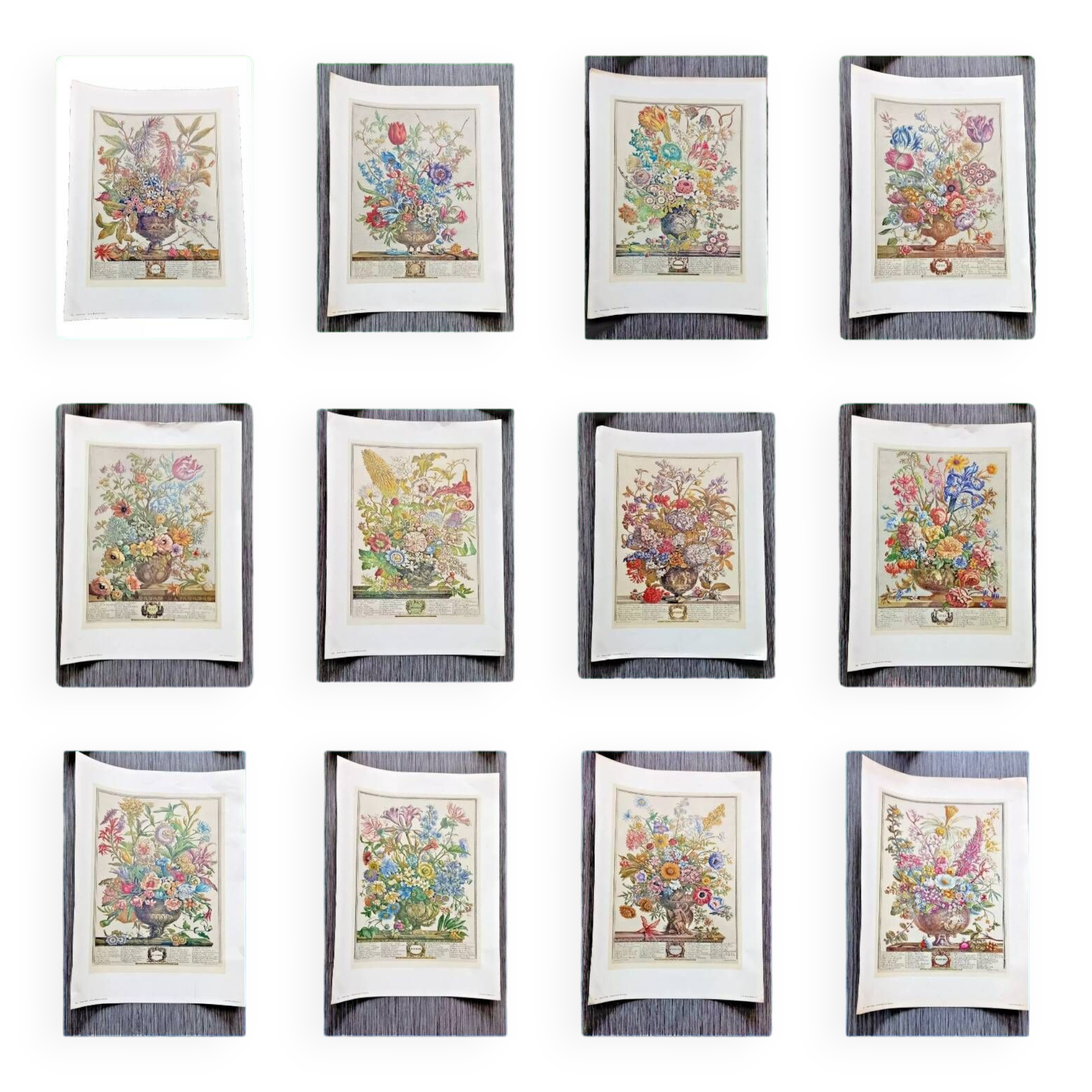 Lot of 19th century Floral Engravings - Vintage Art Print Flowers - 12 months - Robert Furber