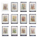 Lot of 19th century Floral Engravings - Vintage Art Print Flowers - 12 months - Robert Furber