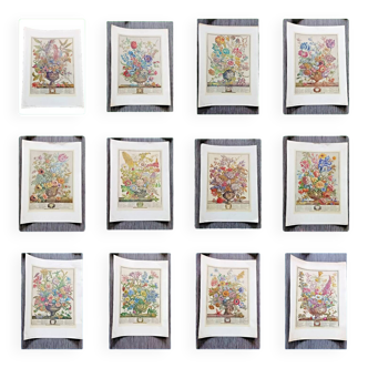Lot of 19th century Floral Engravings - Vintage Art Print Flowers - 12 months - Robert Furber