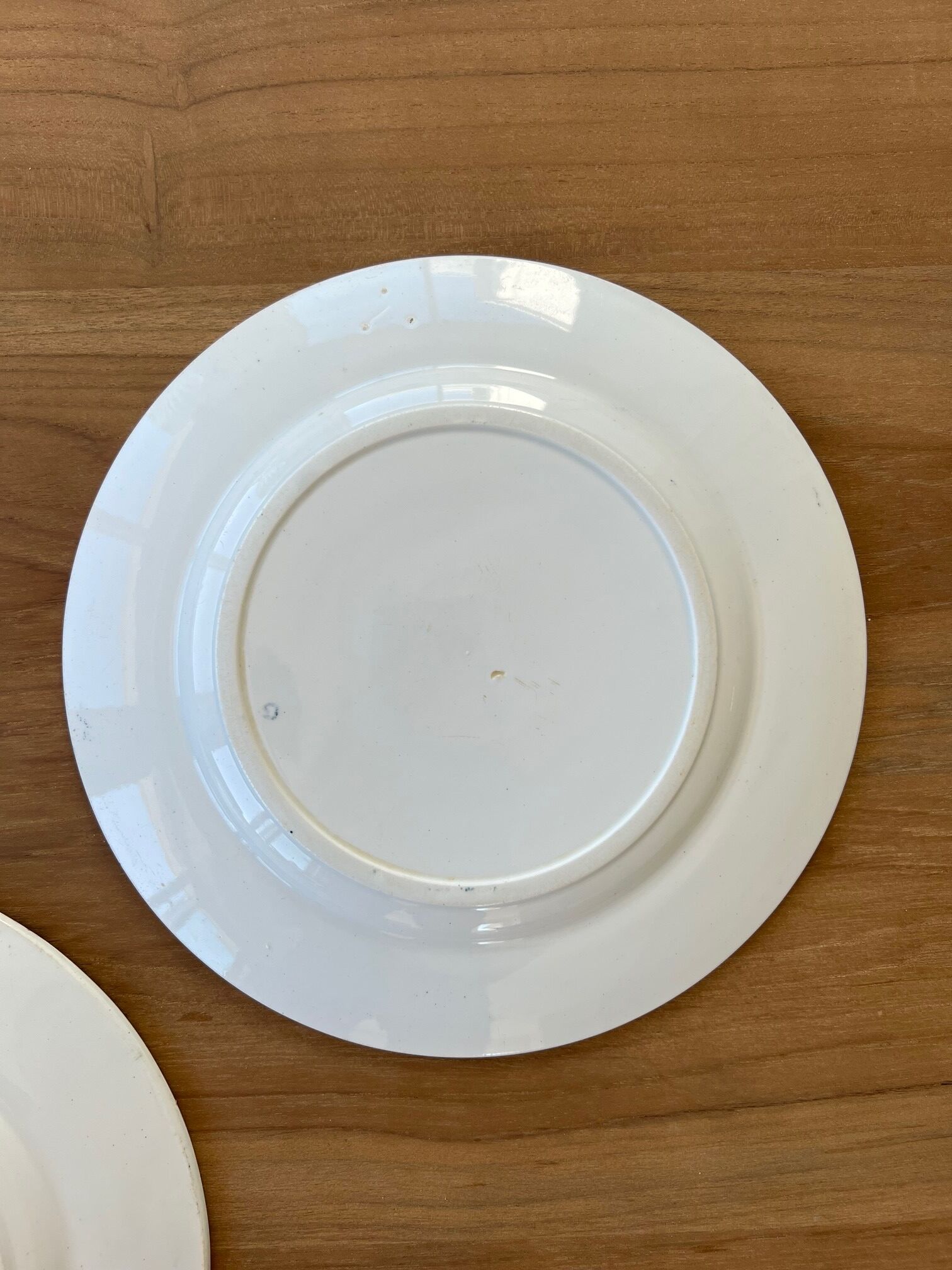 2 plates in Iron Earth