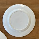 2 plates in Iron Earth