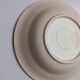 2 beige and gold Villeroy and Boch plates with flowers