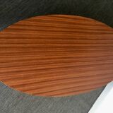 Table design low, oval shape, vintage.