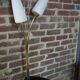 50s lamp lamp in brass and opalines design René Mathieu for Lunel