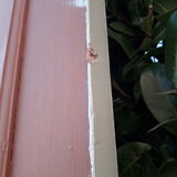 Door 231,5x94,5cm of communication formerly landing