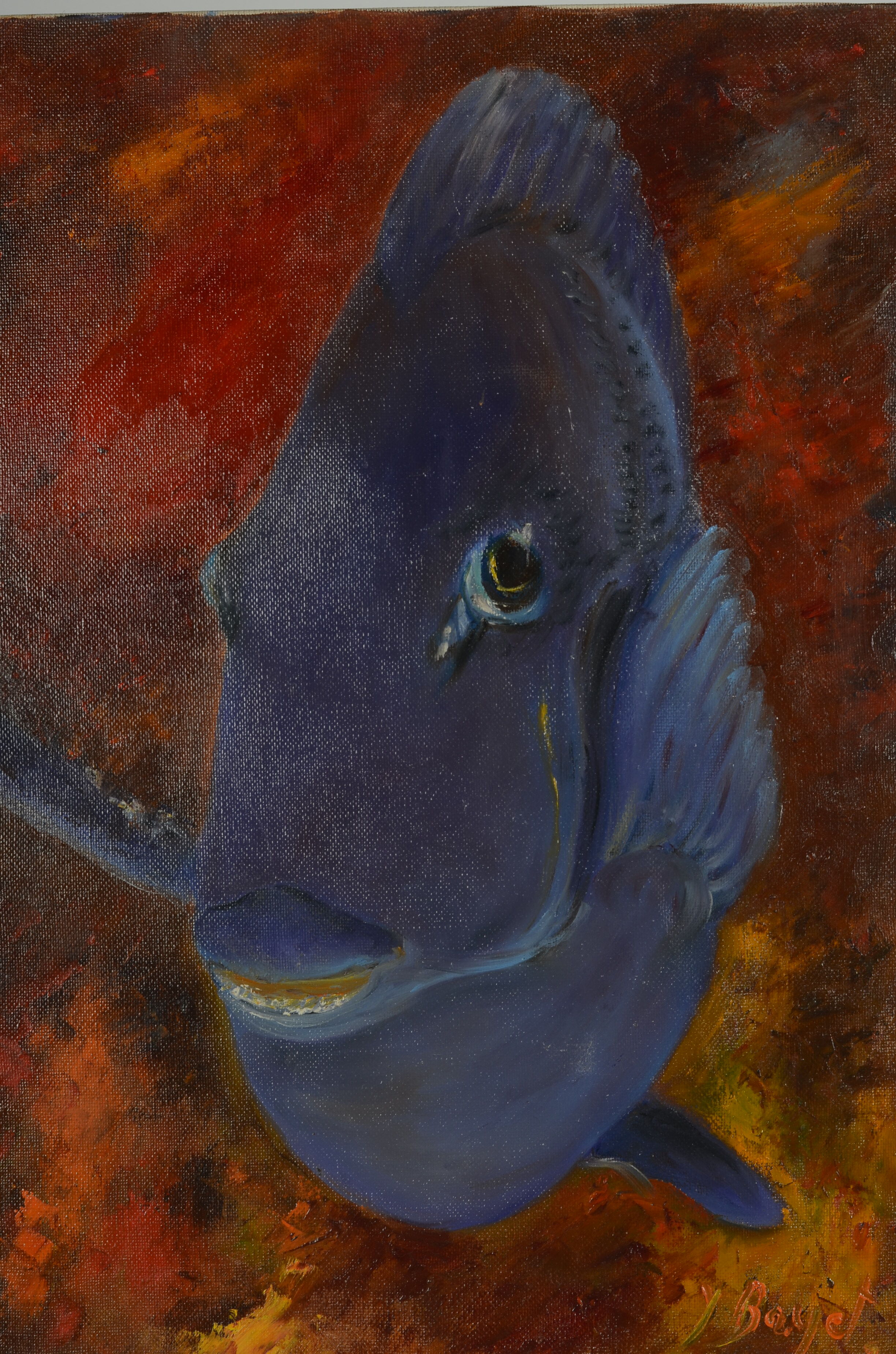 Oil on canvas blue surgeon fish