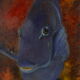Huile sur toile poisson chirurgien bleu