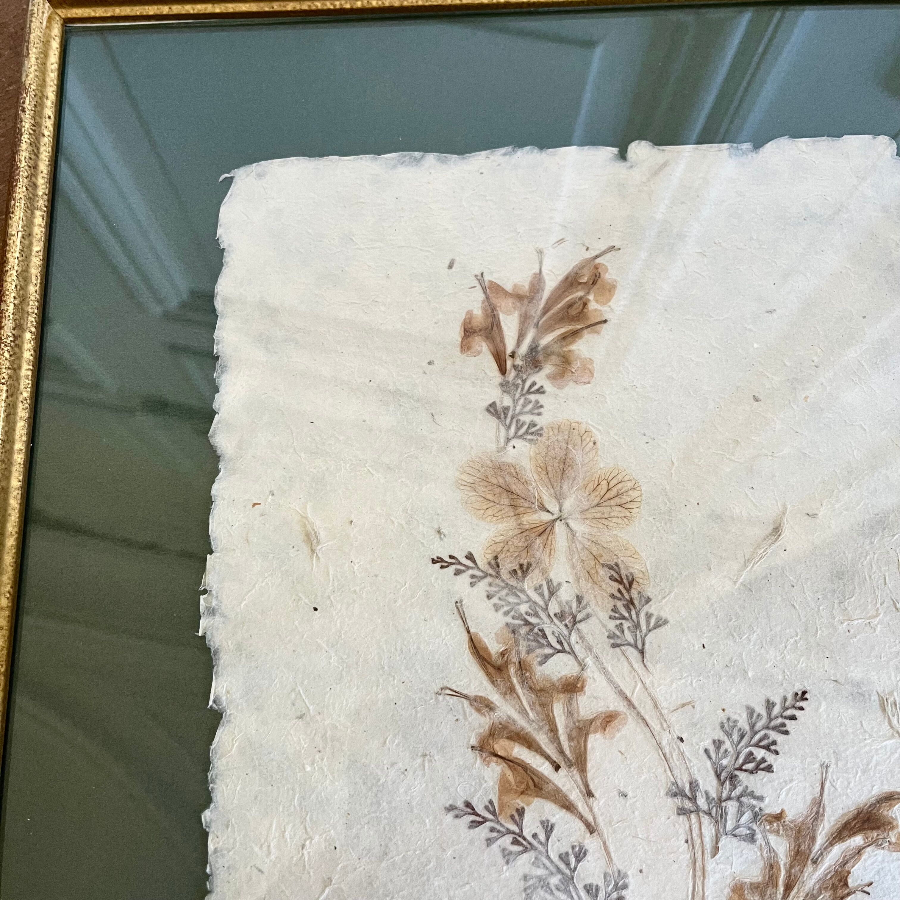 Vintage herbarium frame dried flowers 70s