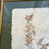Vintage herbarium frame dried flowers 70s