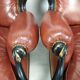 Salon Chesterfield burgundy