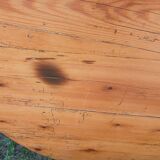 Harvester's table, pine harvest