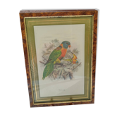 Lori bird painting