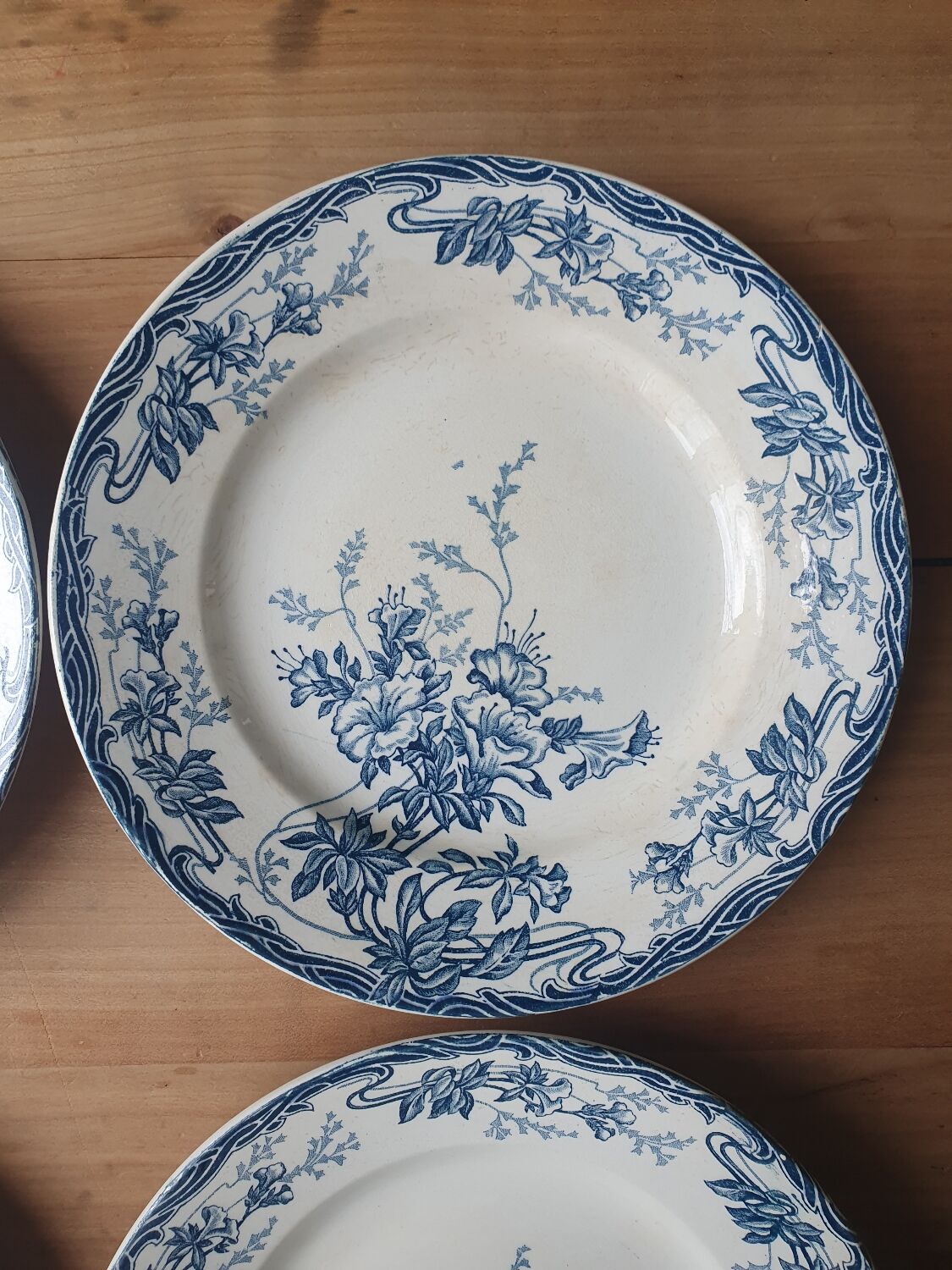 Longwy Azalea plates