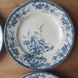 Longwy Azalea plates