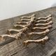 12 vintage gilded gold metal lion animal knife holders