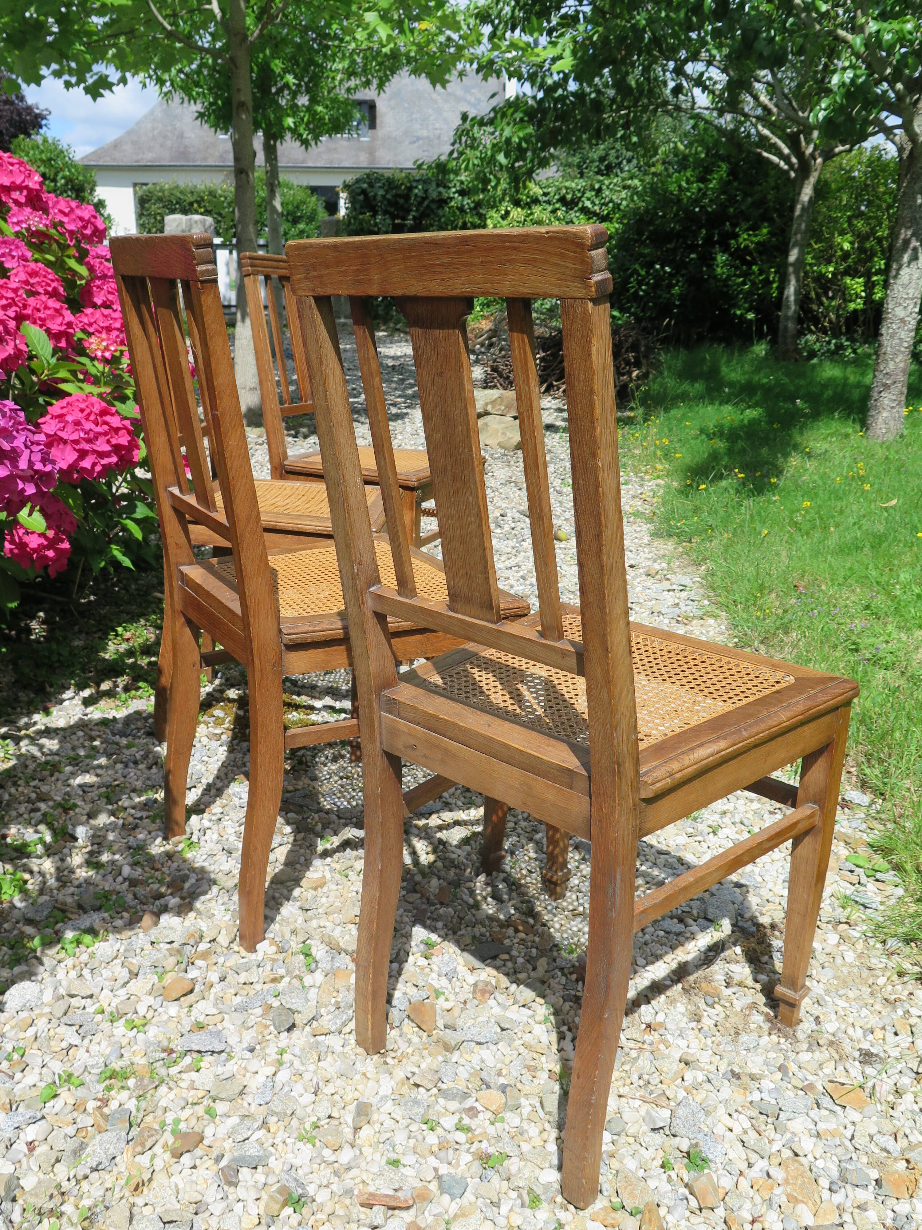 4 oak and canning chairs