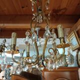 Grape variety chandelier