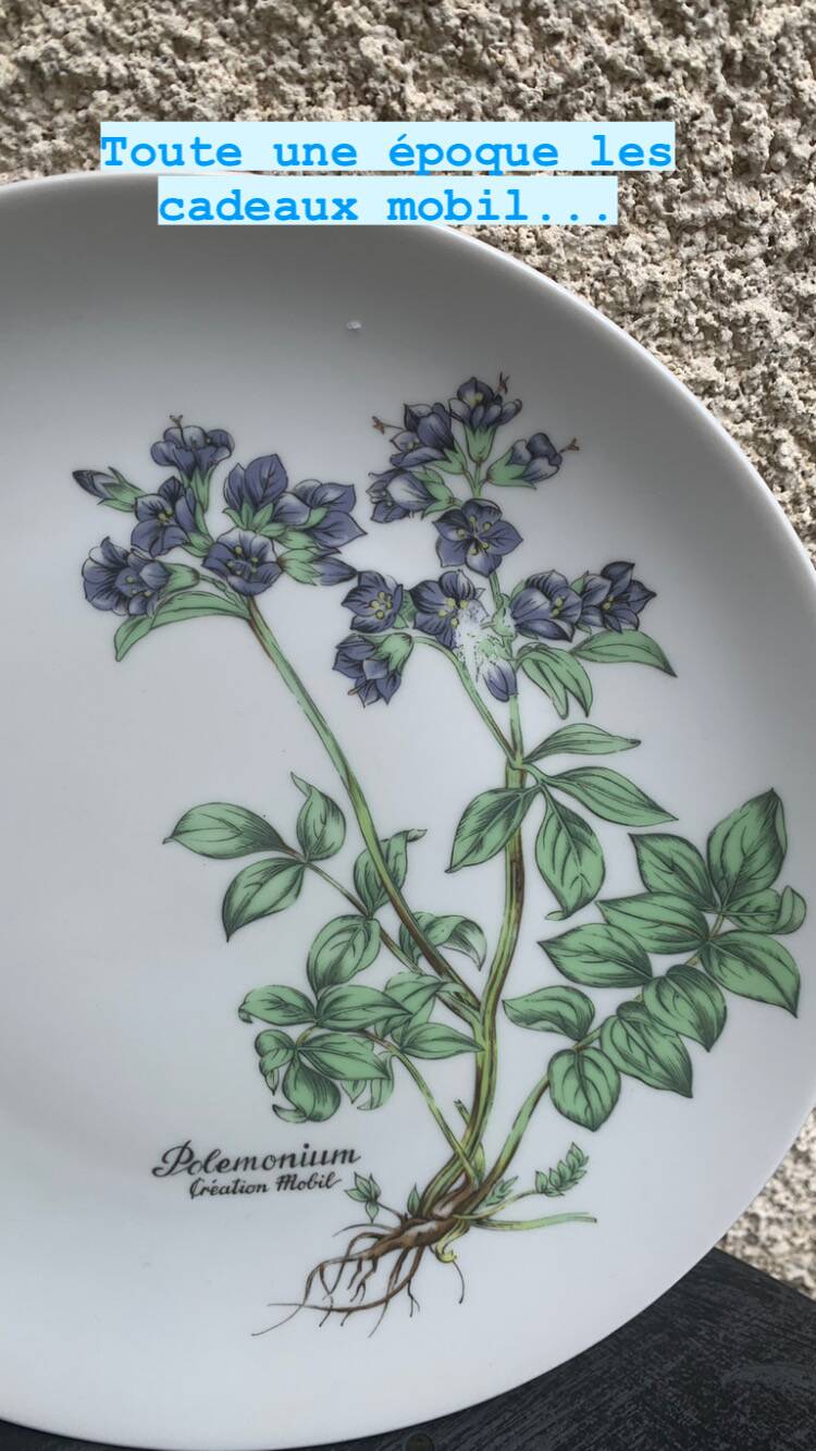 6 winterling bavaria porcelain herbarium pattern flat plates