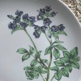 6 winterling bavaria porcelain herbarium pattern flat plates