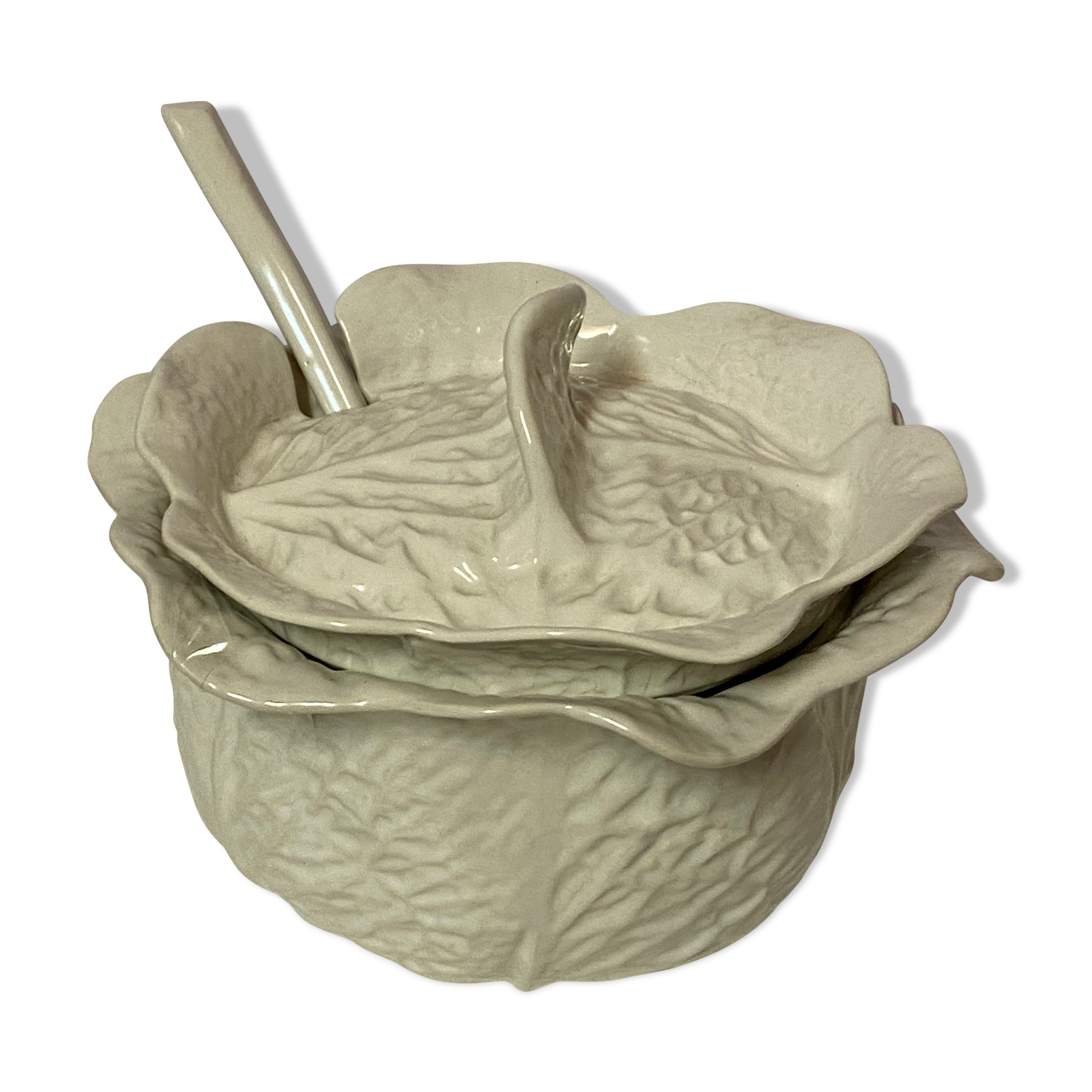 Cabbage soup with ladle