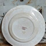 Sept assiettes à dessert terre de fer aux oiseaux f.f.Pexonne fin XIX ème