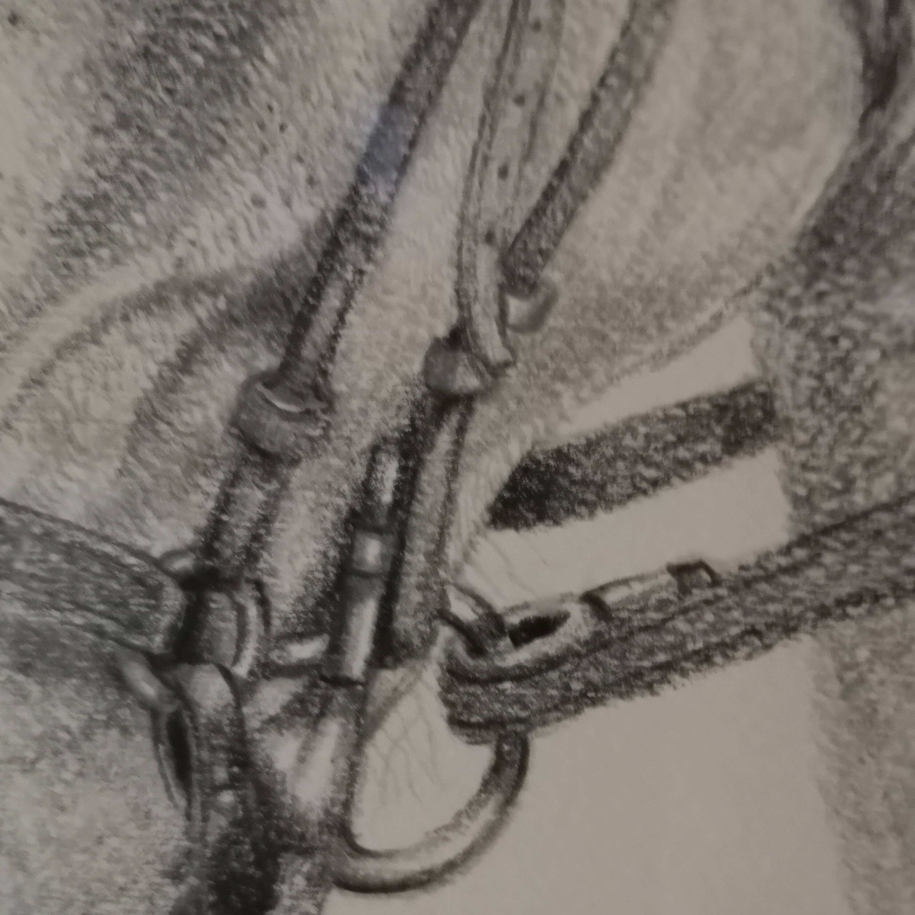 Pencil wash drawing on vellum horse painting signature to identify framed signed and dated