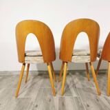 Dining Chairs by Antonin Suman, Set of 4