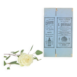 Old cardboard pharmacy medicine box, 1920/1930