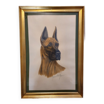 Maurice Brailly drawing dog Great Dane