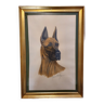 Maurice Brailly dessin chien Dogue Allemand