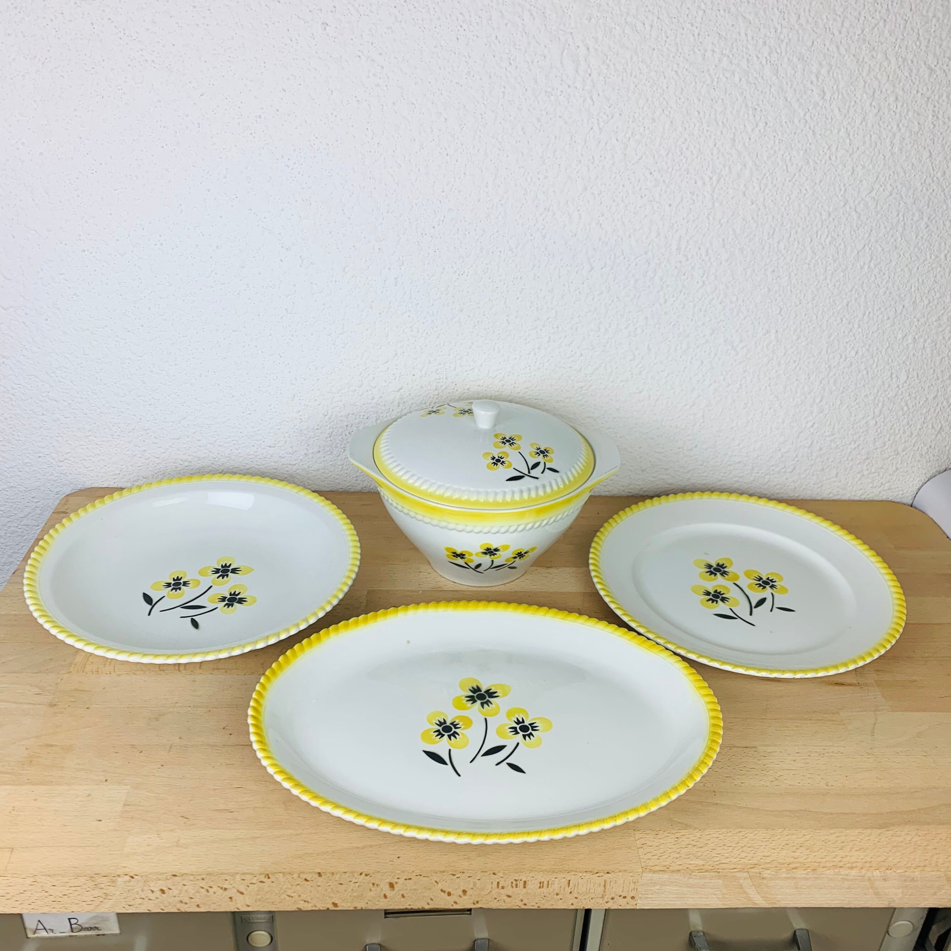 Vintage dishes and tureen in ceramic